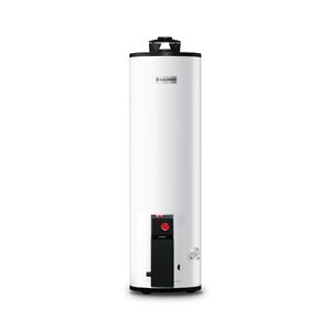Calentador Calorex G-20 Maximus Gas Natural 72 Lts Generación 2