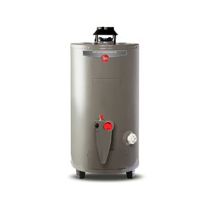 Calentador de depósito Rheem Todo Terreno RHAR-48 Gas L.P. 48 L