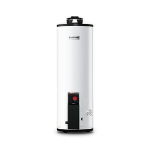 Calorex calentador G-15 Maximus Gas Natural 62 Lts